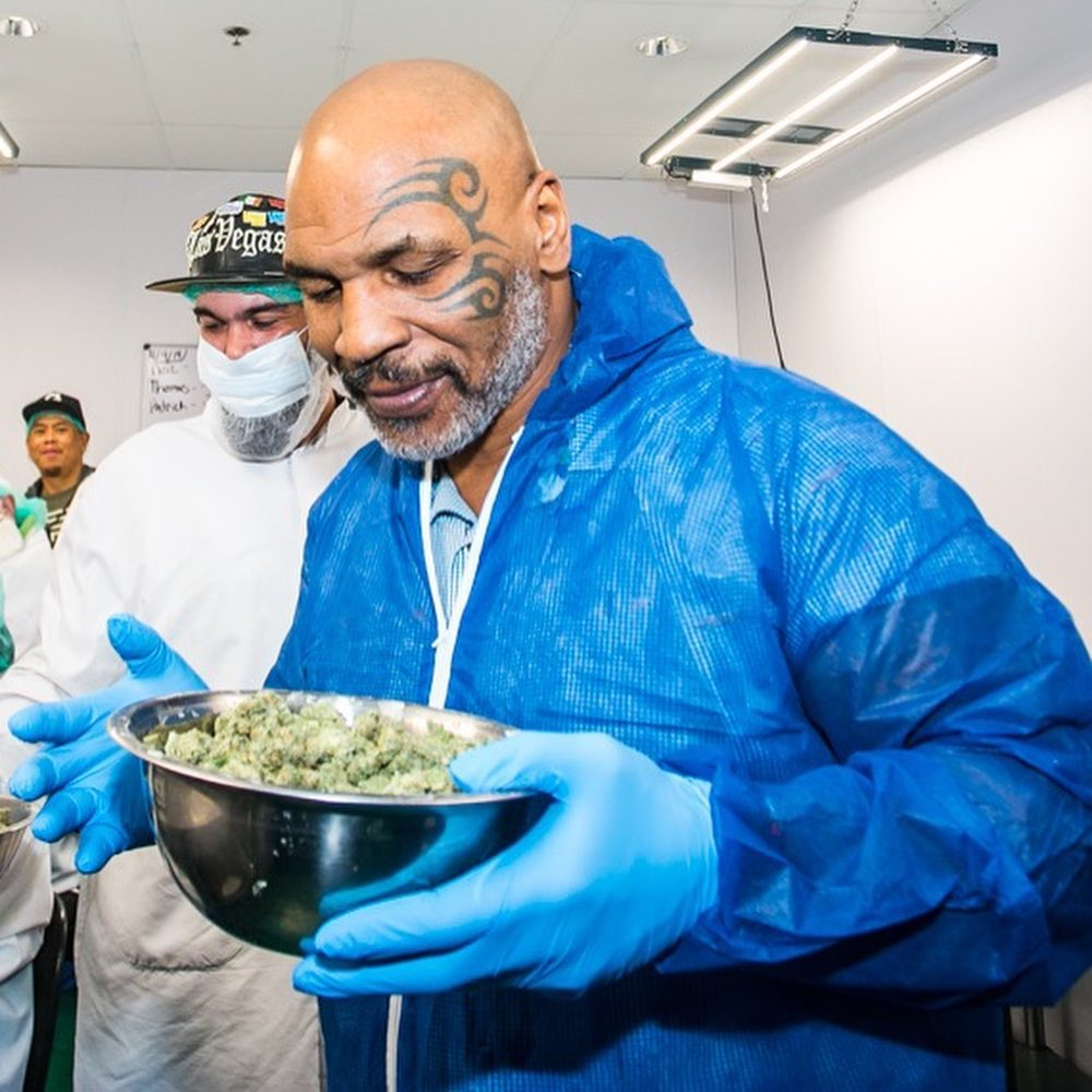 MIKE TYSON has said YES to becoming  the face of cannabis in Malawi
