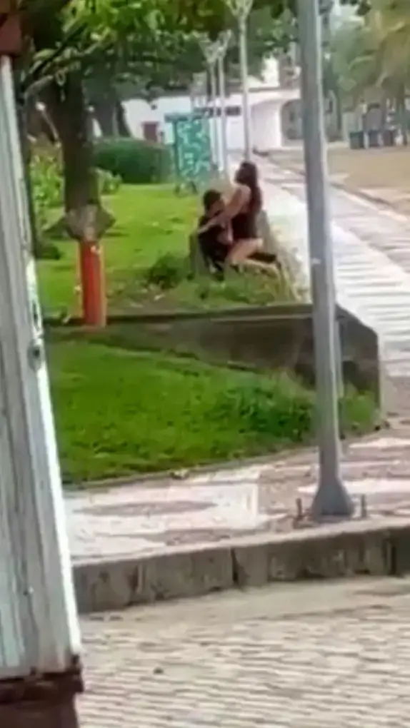 Shame! Brazilian couple caught on camera bonking on public beach bench in broad daylight