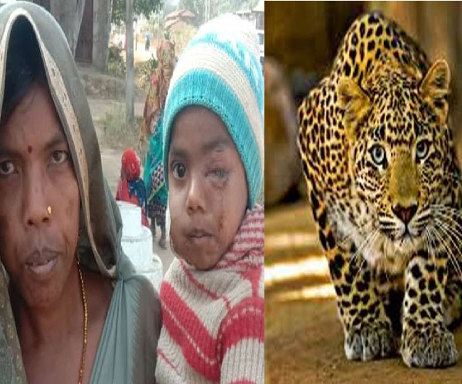 Heroin! Indian mother chases leopard for miles, fighting to save son