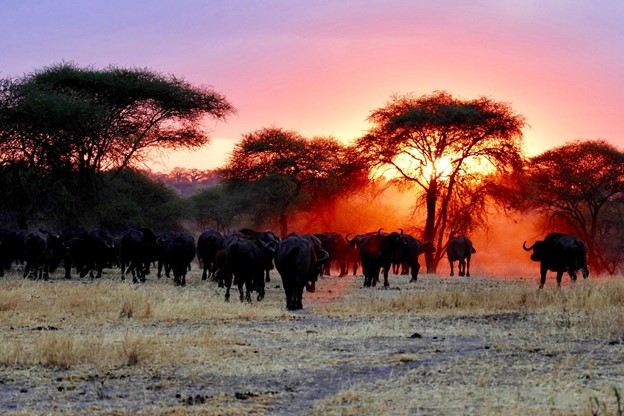 South Africa’s Top Tourist Destinations