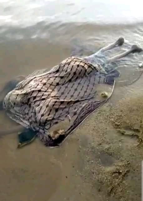 Gosh! Zambian police officer throws himself into river to death after raping his 8-year-old daughter