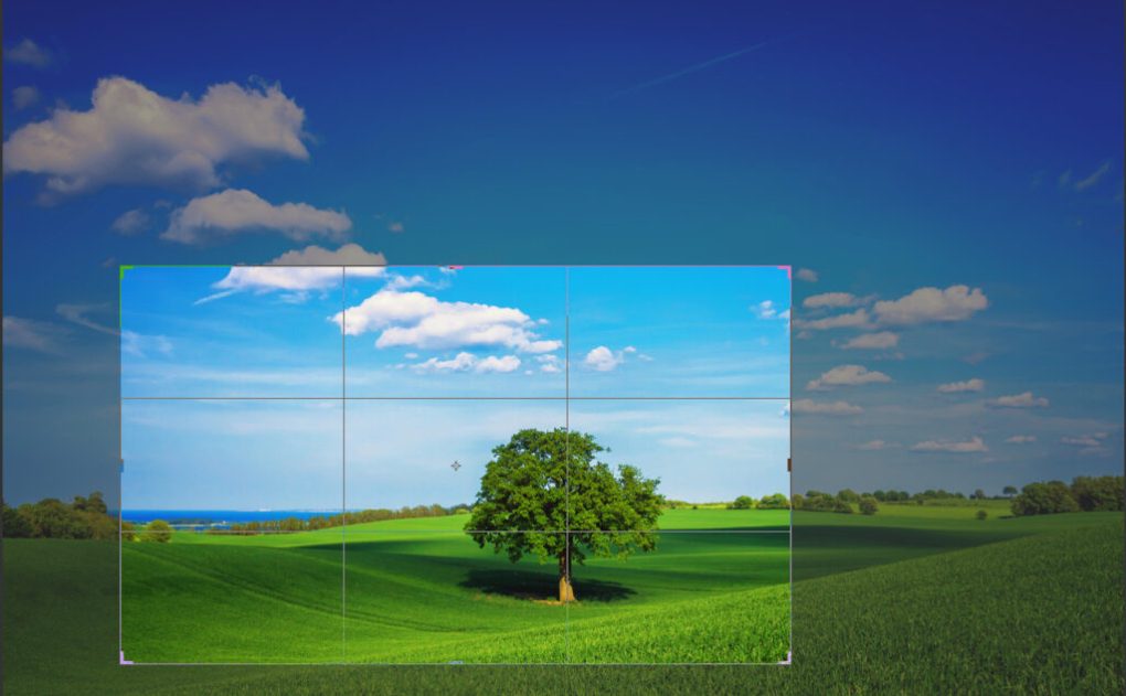 To Crop or Not To Crop Your Images – That is the Question
