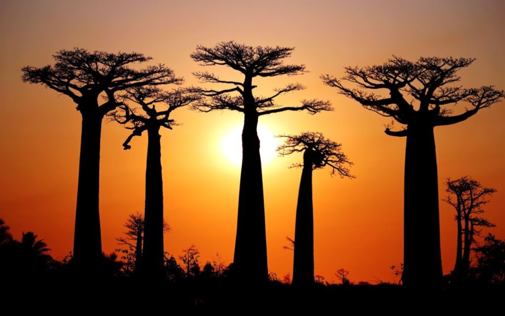 Le Soleil à Madagascar