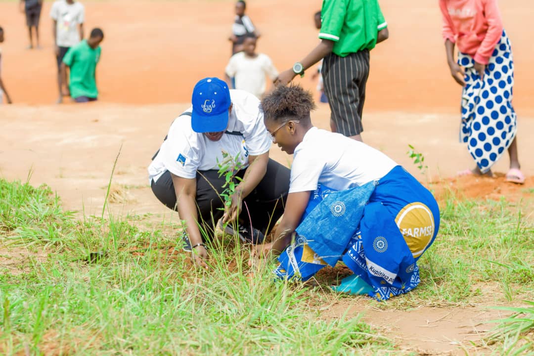 FDH Bank targets to care for one million trees