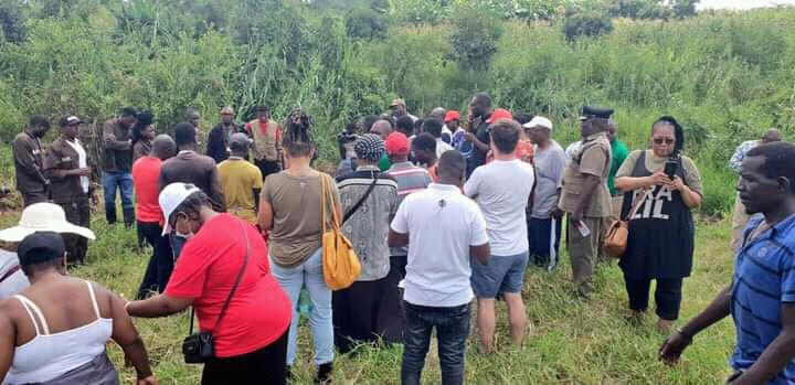 Reunion Insurance pairs with LCC, GLF on tree planting exercise