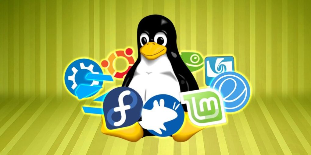 6 times when Linux is much better for students than other OS