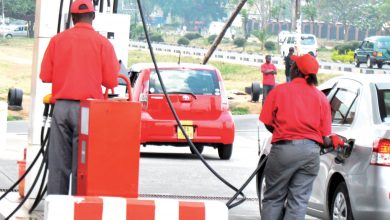 Kapito’s CAMA demands fuel levies removal as Energy Minister Matola pushes for Parliament action