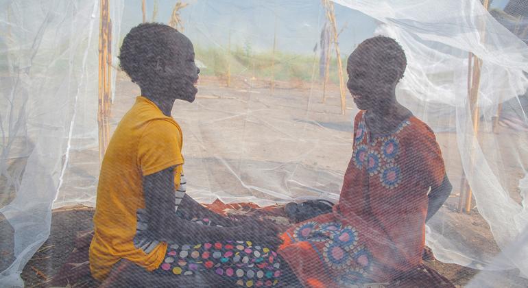 Working towards a malaria-free world
