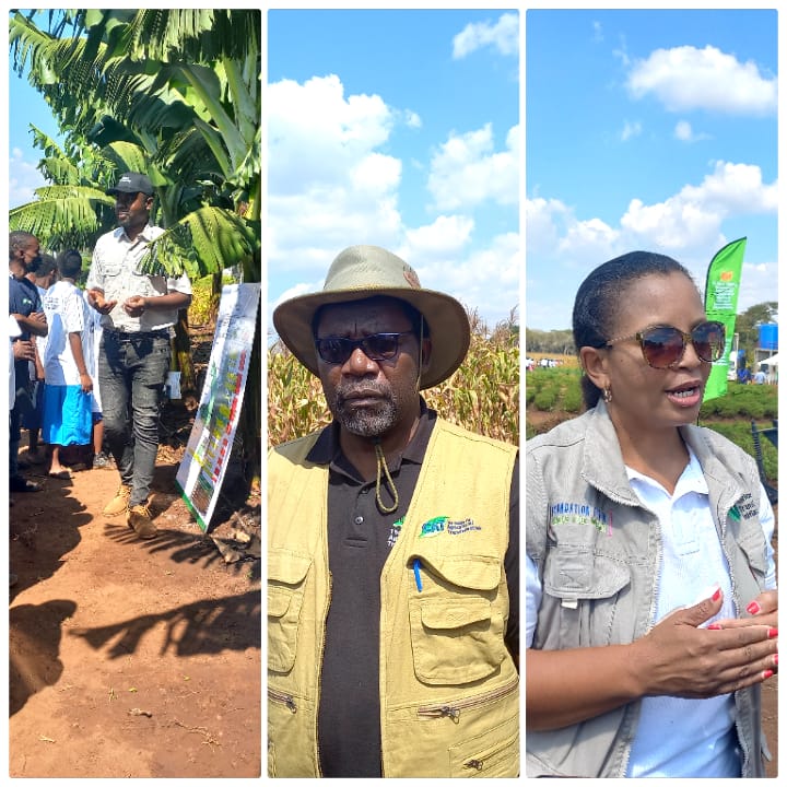 CAT Smart farm revolutionizing modern crops diversification in Malawi