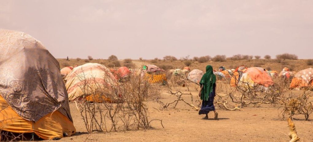 High-level UN conference debates precious commodity: Land