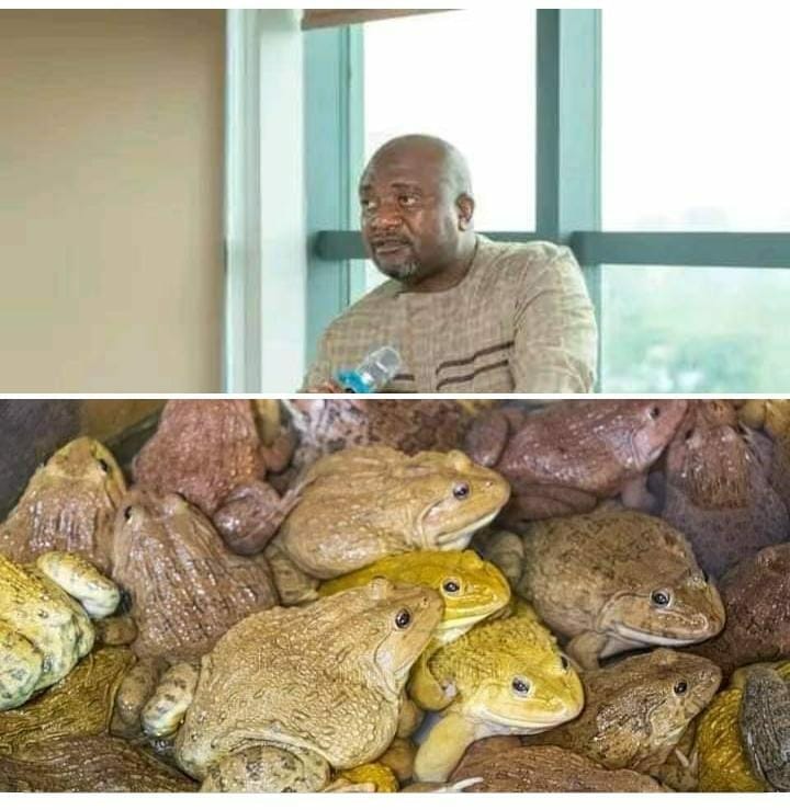 Matola refuses to apologize for calling Malawians “Frogs”