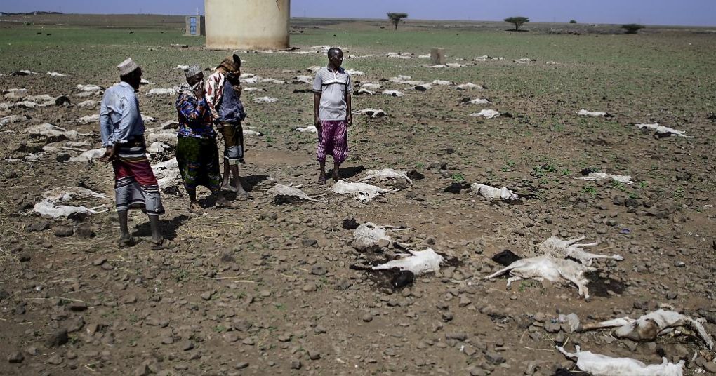 Climate change exacerbates illegal immigration-Experts