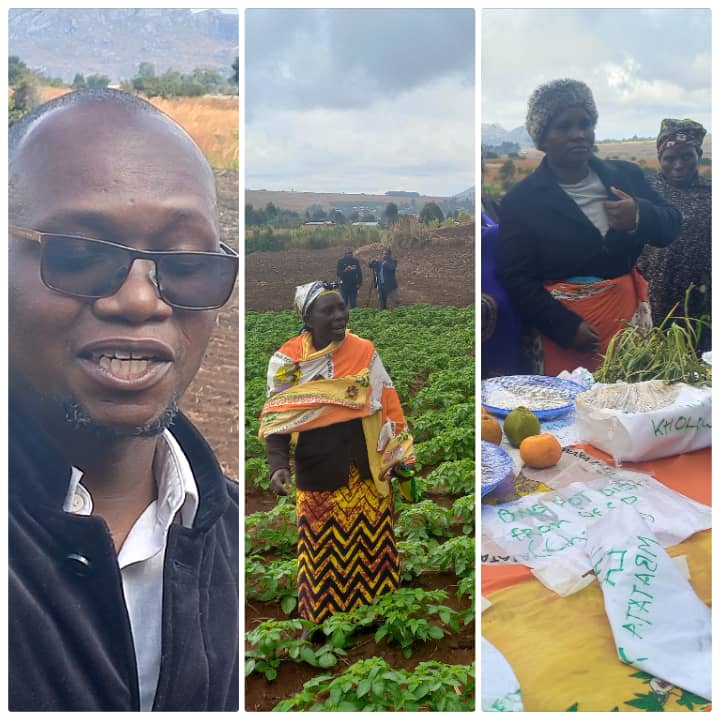 Malawi local potato farmers plead for certified seeds, bankable markets