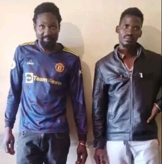 Two Malawi’s Blantyre men arrested for possessing live Pangolin