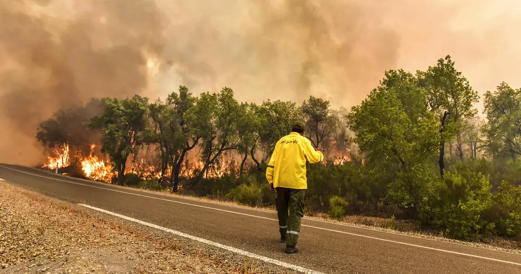 Wildfires in northern Morocco, a villager prosecuted