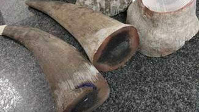 Machinga man jailed 8 years over rhino horn possession