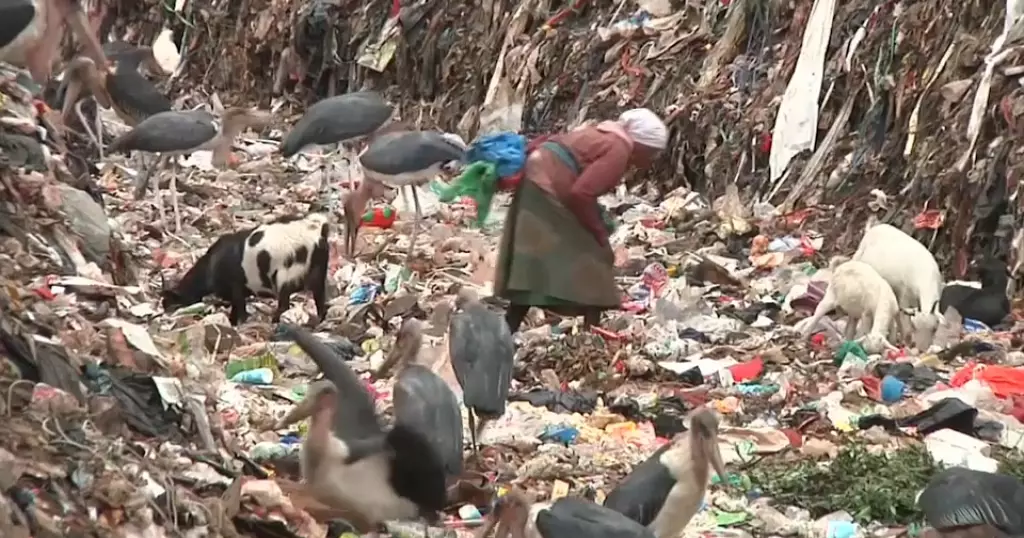 Waste pickers at Kenyan dump face cancer and infertility