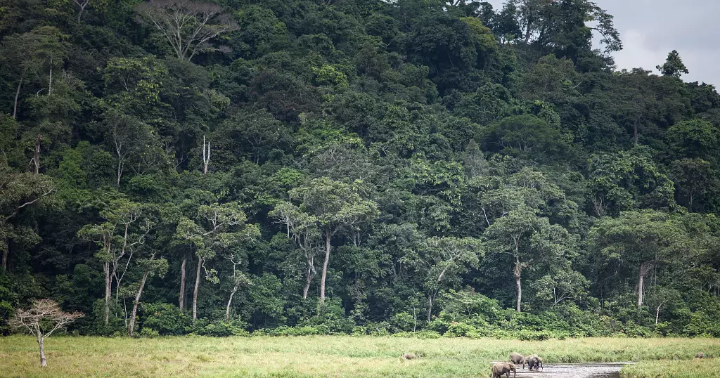 African countries seek funding to tackle climate change