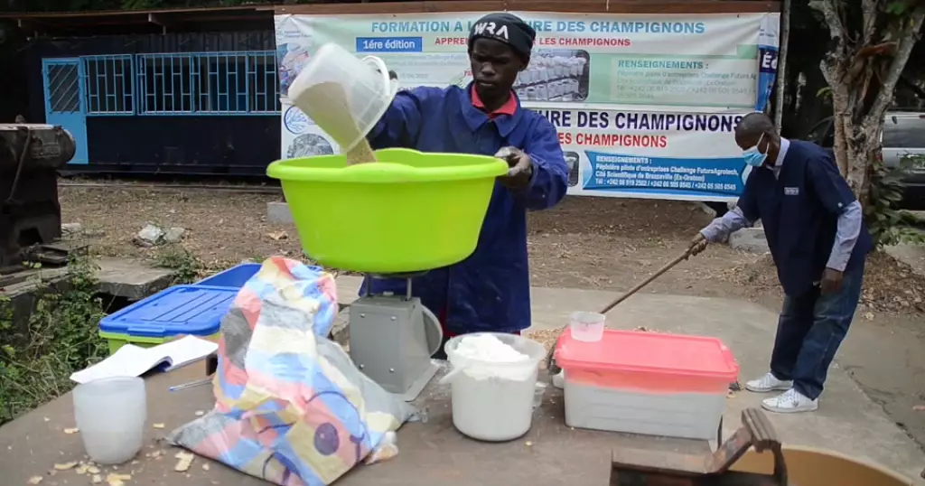 Congo: The hearing impaired trained in mushroom farming