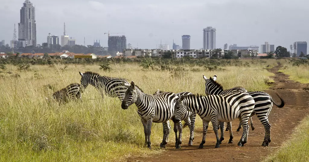 Mobile app enables Kenyans to become wildlife conservation actors