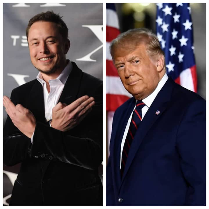 Elon Musk reinstates Trump twitter account