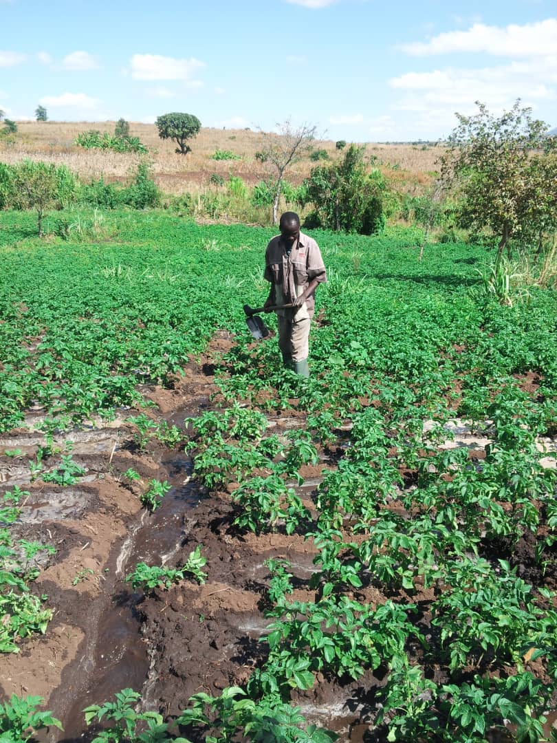 Fighting climate change impacts with agriculture insurance cover