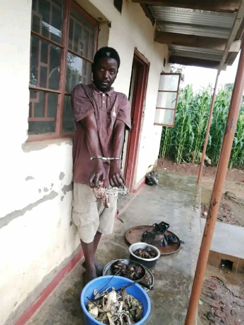 Lilongwe man Andrew Mthiko arrested for selling dog meat