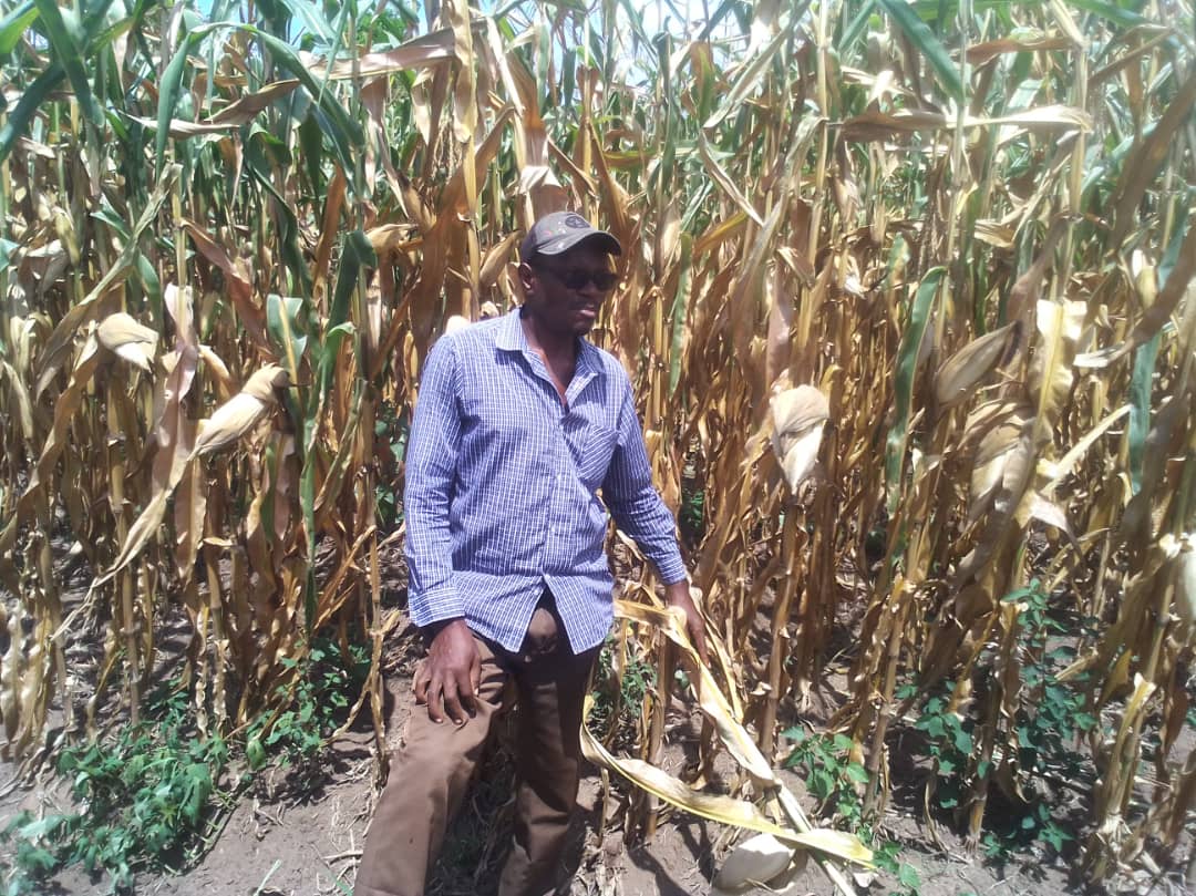 Karonga farmers asked to embrace climate smart agriculture