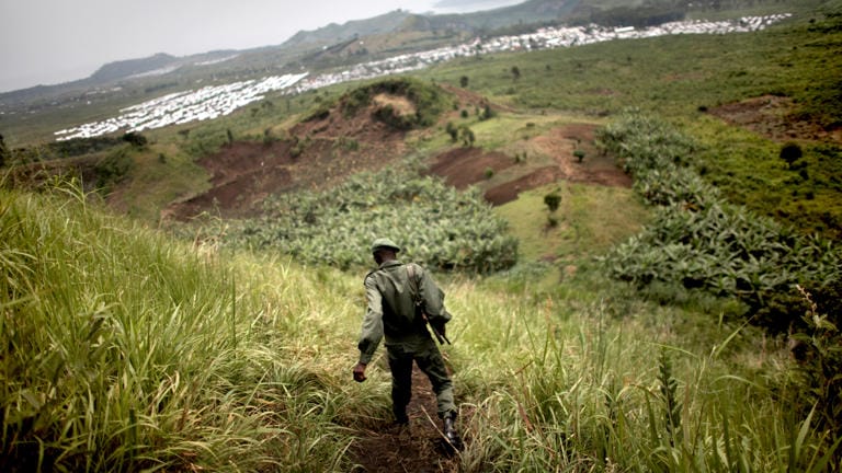 War in the Congo Has Kept the Planet Cooler