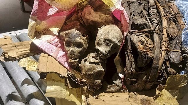 USA: monkey skulls in a suitcase from the DRC, Suspected Witchcraft