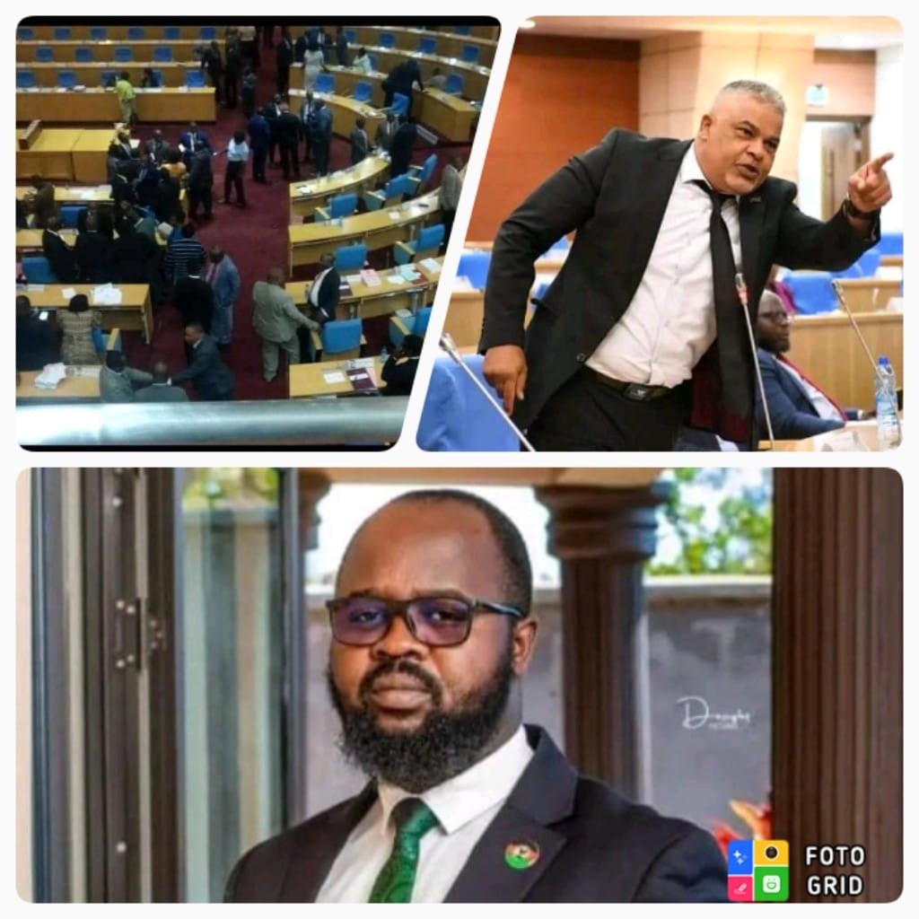 Sameer Suleiman saved from impeachment as Agriculture Committee chairperson