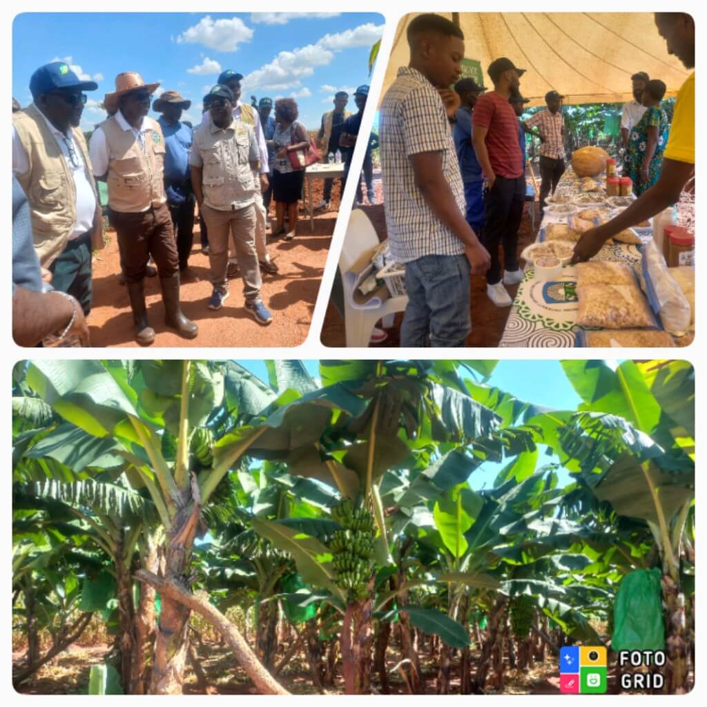 CAT empowering smallholder farmers through agricultural innovations