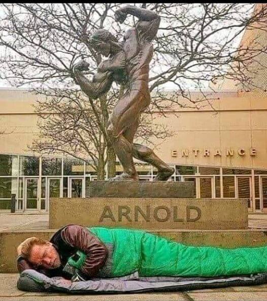 Famous actor Arnold Schwarzenegger sleeps under his statue after hotel denied him free accommodation