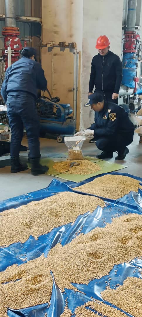 Paramount Holding exports 240 tons of Soya beans to China