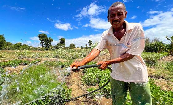 Madagascar: Coordination, convergence and change from the grass roots up