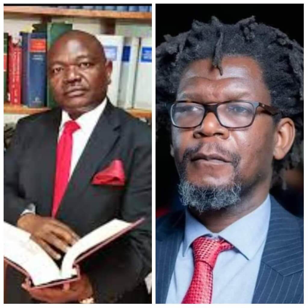 Former Malawi’s Attorney Generals Kaphale, Silungwe offer pro-bono in thin plastic ban case