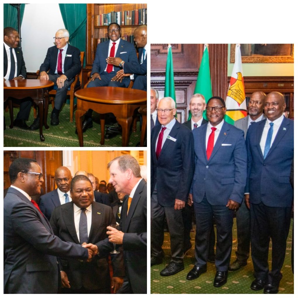 79th UNGA: Chakwera praises Miombo forest for ecosystem cover