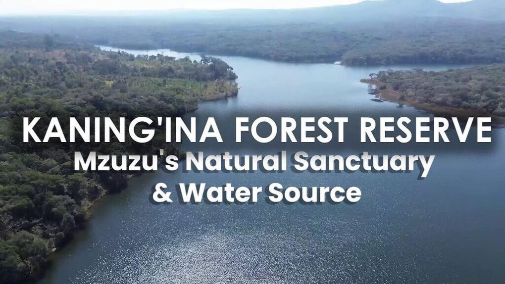 Nkhatabay District Council Blocks Sale of Kaning’ina Forest Reserve Land