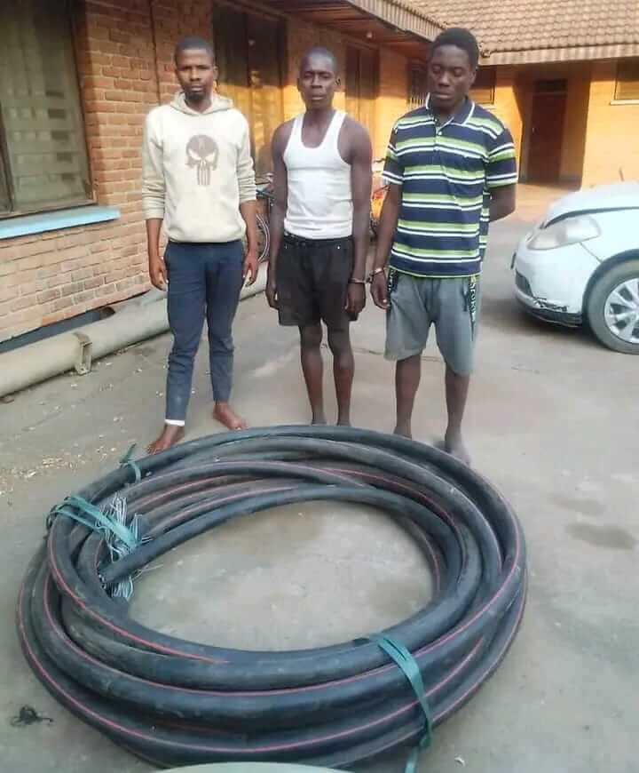 Illovo sugar Dwangwa estate Cable Theft: Three srrested, face theft charges