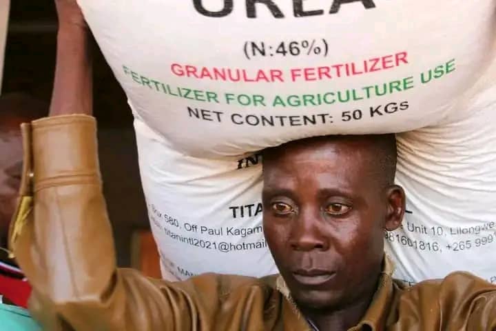 Farmers satisfied with Affordable Input Programme progress in Mtengowathenga