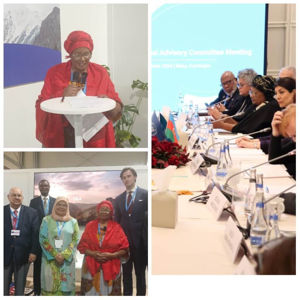 COP-29: Former Malawi leader Joyce Banda lobbies for debt relief, increased donor funding