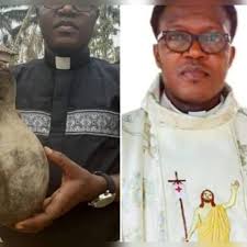 Ex-cellence Project Welcomes Resignation of Catholic Priests