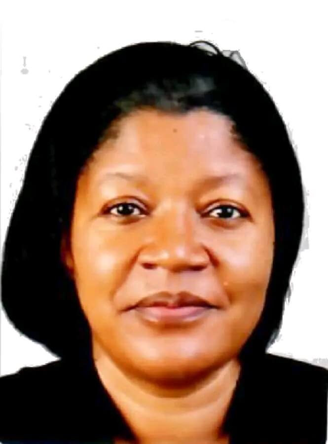 Democratic Progressive Party Appoints New National Director of Elections
