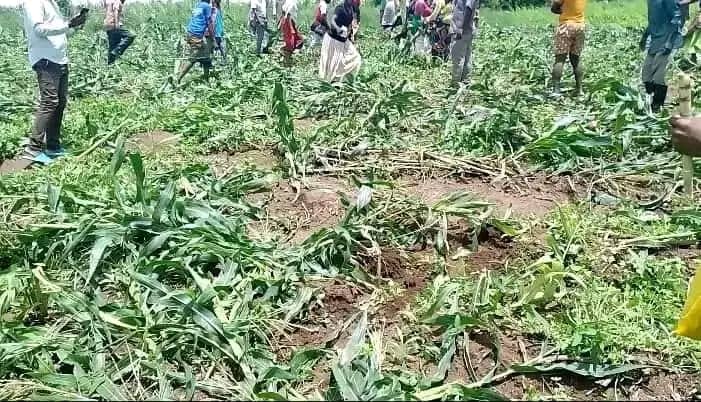 Mob violence erupts in Thyolo over allegations of murder