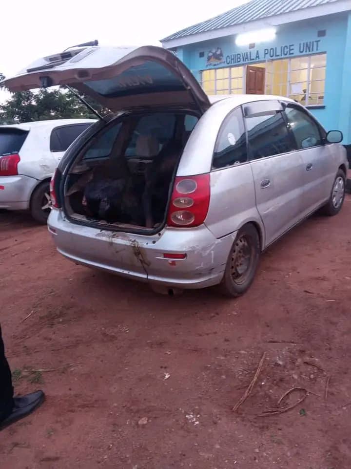 Dowa police recover stolen bulls, investigation underway
