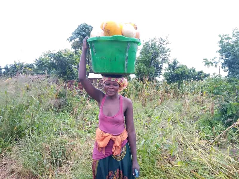 Mpombe wachuluka ku Balaka, koma alimi akudandaula za mitengo yotsika