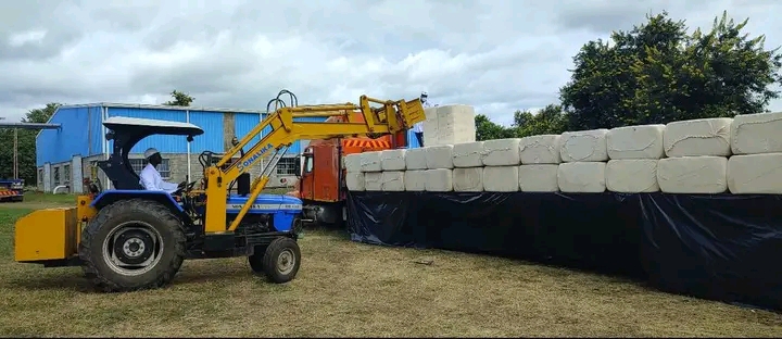 ADMARC to earn K1.4 billion from cotton exports to Switzerland
