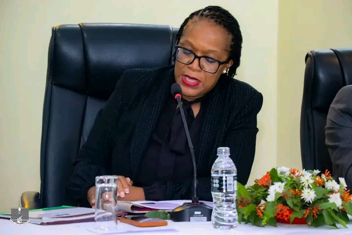 Malawi’s path to credible elections: The challenges ahead under Anabel Mtalimanja