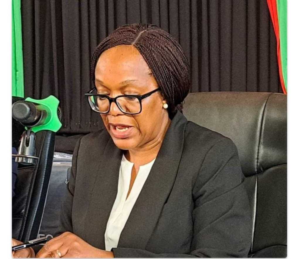 MEC Chairperson Demands clarity on audit calls, warns against misinformation