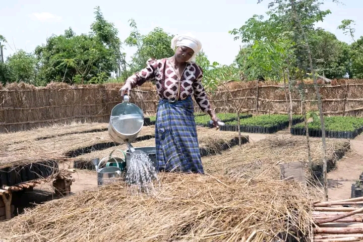 One Acre Fund Malawi